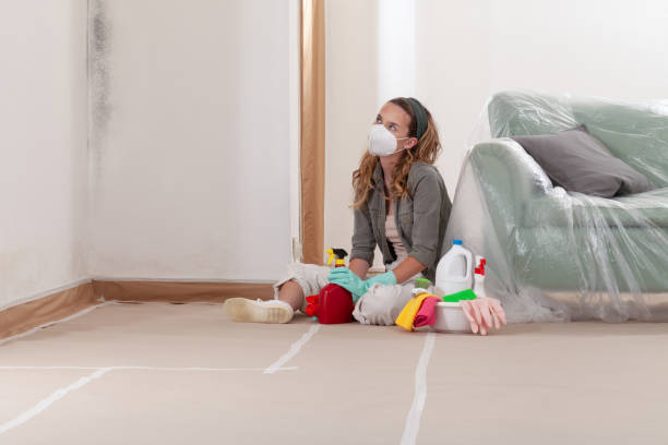 Reliable Black Mold Removal contractor in Iselin, NJ by WQB Mold Removal